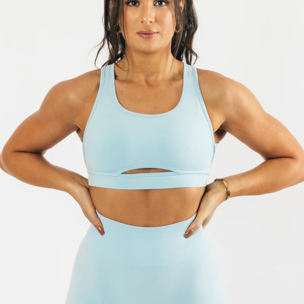 Alphalete arctic blue bra